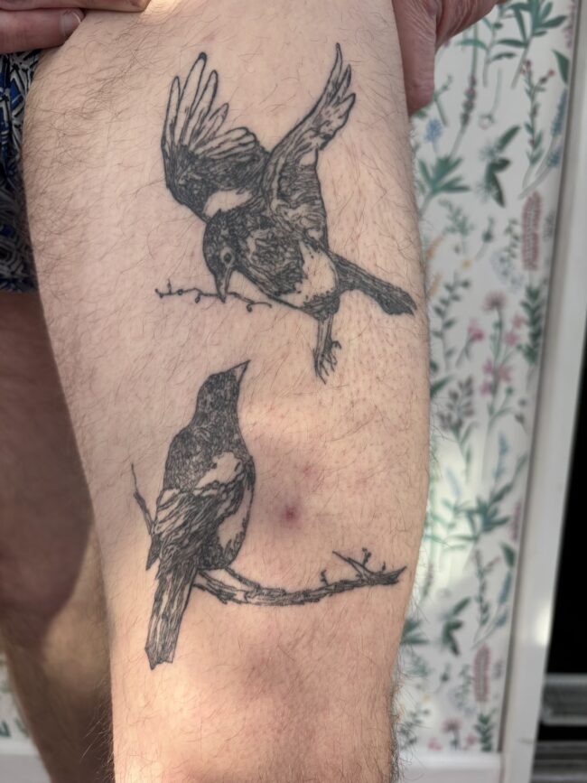 Magpies Little Gift Tattoo