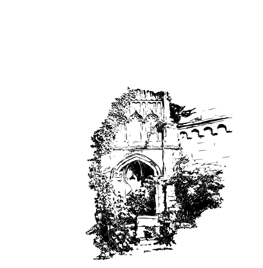 Overgrown Castle Ruins Artwork