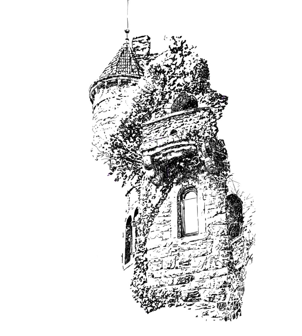Castle Ruin Overgrown Artwork