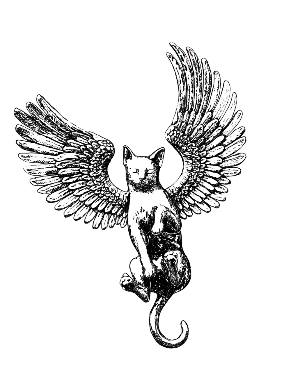 Angel Cat Artwork