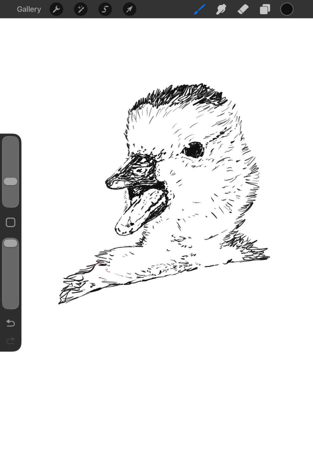 Duckling Artwork