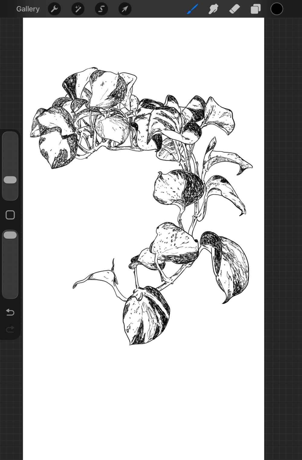 Pathos Vine Artwork