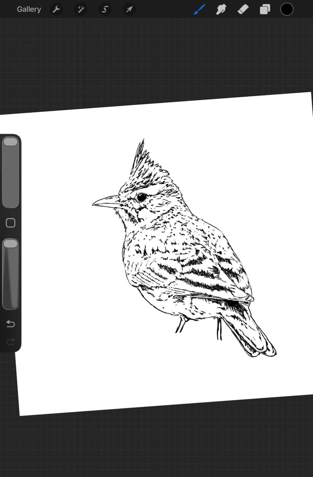 Bird Artwork